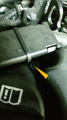 Sruba.jpg
