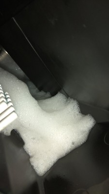 IMG_20210828_173314.jpg