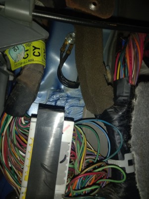 20220425_160737_Easy-Resize.com.jpg