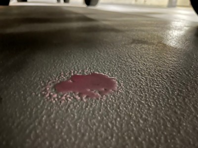 IMG_2011.jpeg