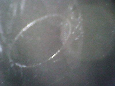 StillSnapshot000004.jpg