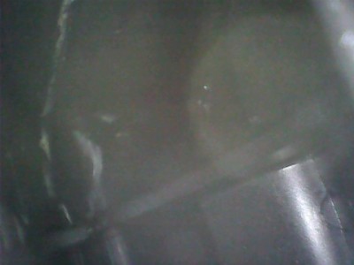 StillSnapshot000005.jpg