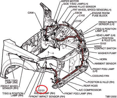 T8B12002.png
