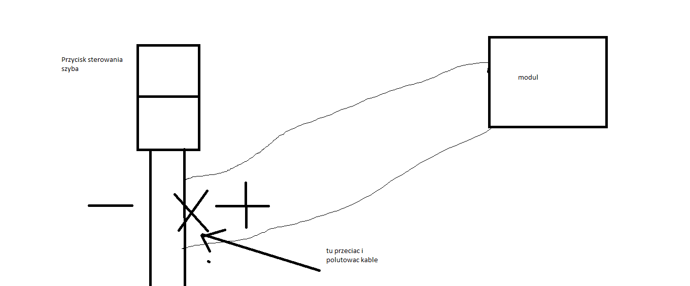 Bez tytułu.png