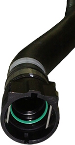 1638928-1.jpg