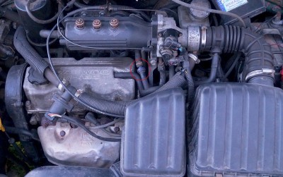 matiz1.jpg