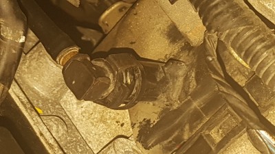 20180706_175330.jpg
