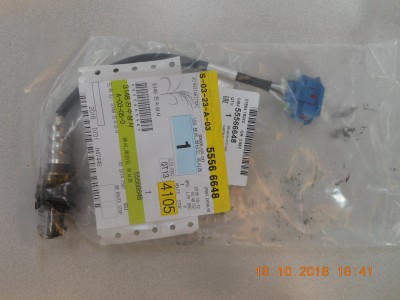 DSCN3520.JPG