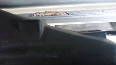 DSC_0150.jpeg