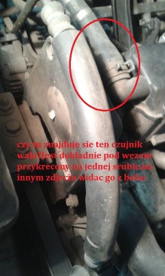 20190422_132202.jpeg